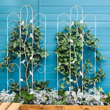 2 Pack Metal Garden Trellis for Climbing Plants Outdoor 61''x 18.5" Rose Flower Support Rustproof Sturdy Leaves Garden Trellis for Vegetables Trellis for Potted Plants - White