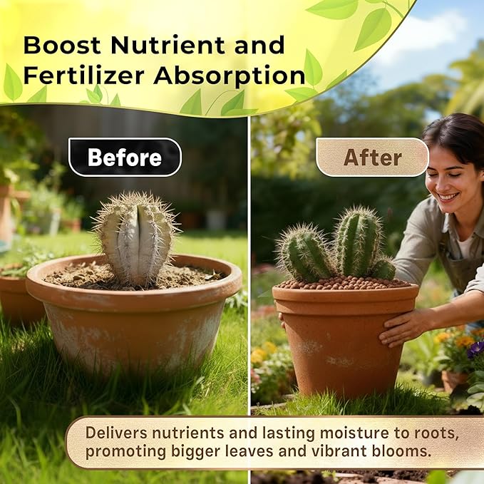 Professional Clay Pebbles | Expanded for Seedlings, Root Cuttings, Hydroponics, Plants | Lightweight Soil Additive | Large 2.2 Quarts | Made in USA