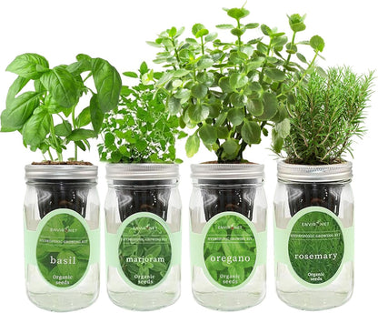 Hydroponic Mason Jar Indoor Garden Organic Seed Starter Kits - Italian Herb Blend Growing Kits, Windowsill Herb Garden, Gardening Gift (Basil, Marjoram, Oregano, Rosemary)