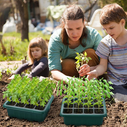 Seedfactor 7-Pack Seed Starter Tray with Heat Mat (12 Cells per Tray), Plant Germination Trays with Adjustable Humidity Dome Seed Trays Seedling Starter with Base Trays for Germination