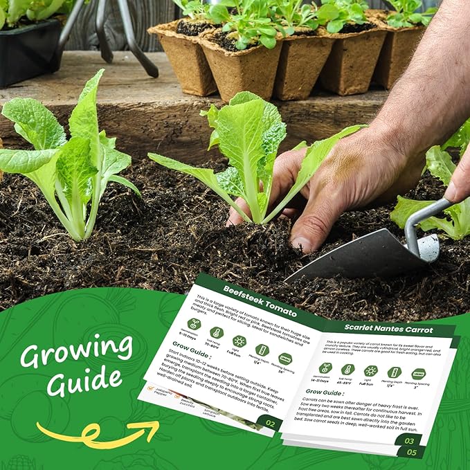 10 Vegetable Seeds Pack - Non GMO, Heirloom - Basil, Snap Pea, Broccoli, Bean, Jalapeño Pepper, Tomato, Lettuce, Cucumber, Carrot, Zucchini Seeds for Planting Home Garden
