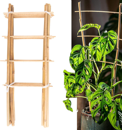 Avalution 10 Pack Natural Bamboo Trellis for Climbing Plants 16" Outdoor Garden Ladder Trellis, Fan -Shaped Plant Support Trellis for Potted Plant