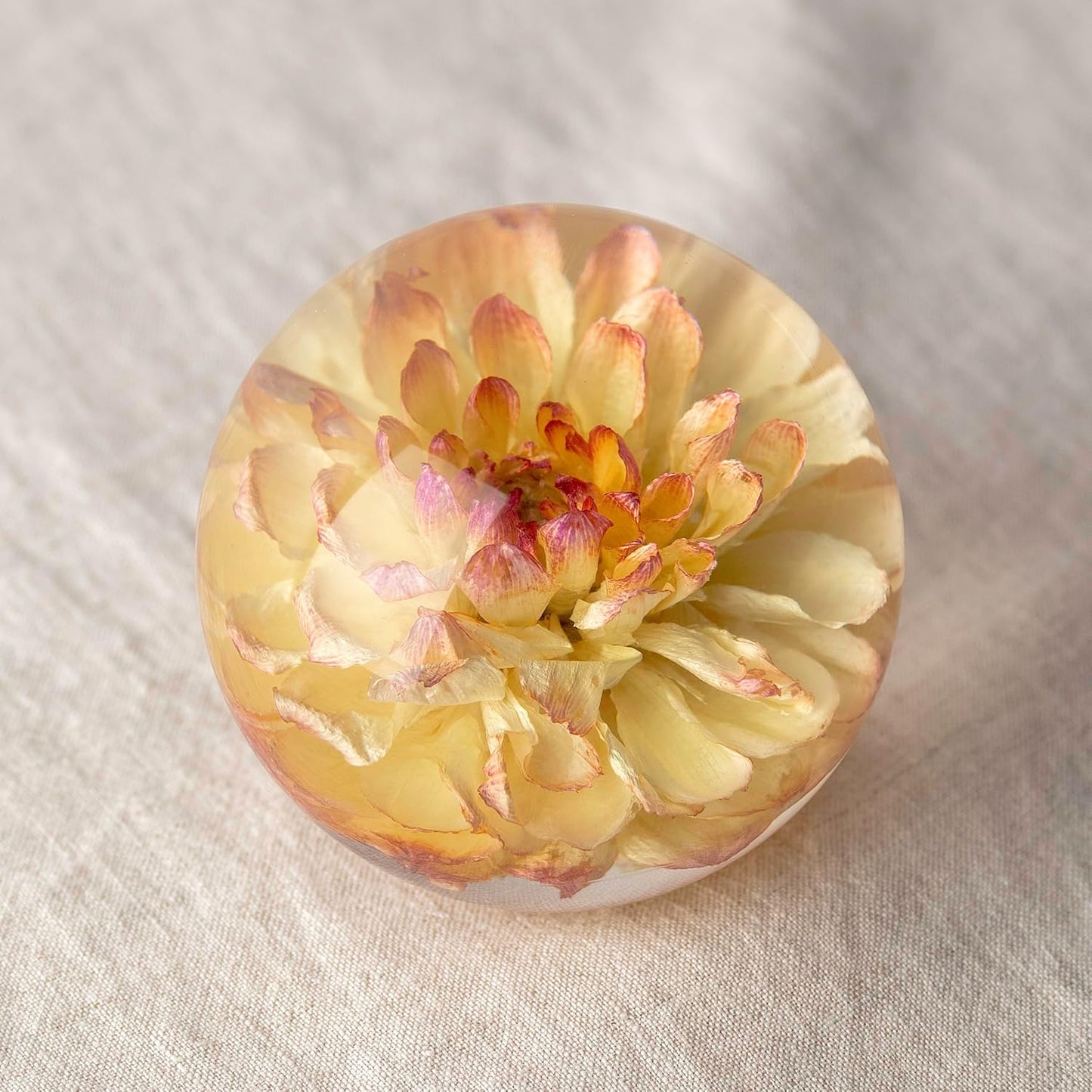 Real Yellow Dahlia Paperweight - Home Decor Crystal Resin Ball 3.14in (80mm) - Clear Resin Yellow Dahlia Flower Globe for Special Days - Sphere Figurine Office Paperweight w/Flat Bottom