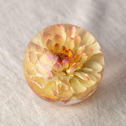 Real Yellow Dahlia Paperweight - Home Decor Crystal Resin Ball 3.14in (80mm) - Clear Resin Yellow Dahlia Flower Globe for Special Days - Sphere Figurine Office Paperweight w/Flat Bottom