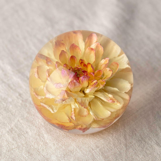 Real Yellow Dahlia Paperweight - Home Decor Crystal Resin Ball 3.14in (80mm) - Clear Resin Yellow Dahlia Flower Globe for Special Days - Sphere Figurine Office Paperweight w/Flat Bottom
