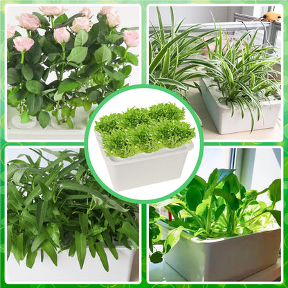 Hydroponics Grower Kit DIY Self Watering Indoor Hydroponics Tools Hydroponic System Planting Container Include Aquarium Air Pump Buoy Planting Box