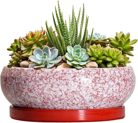 Succulent Pots - 8 Inch Bonsai Pots for Indoor Outdoor, Shallow Ceramic Planter with Drainage Hole and Saucer, Round Flower Succulent Planters, Room Decor, Gifts for Plant Lovers, Red