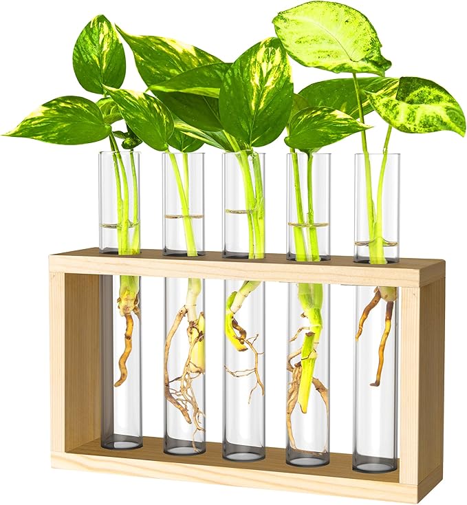 Propagation Station, Plants Terrarium, Plants Lover Gifts for Women,Plant Cutting Holder Home décor,Gifts for Women,House Warming New Home-5 Tubes-Beige