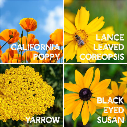 All Annual Wildflower Seeds Mix – 4 Oz, 4,000+ Seeds – 21 Varieties Including California Poppy, Indian Blanket, Scarlet Flax – Bulk Pollinator Wildflower Seed for Planting