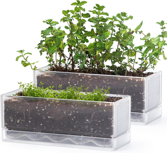 D'vine Dev 12 Inch Window Box Planter, Rectangle Plastic Herb Planter with Drainage Holes and Saucer, Indoor Succulent Cactus Vegetable Pot for Windowsill, Garden Balcony, Clear, Set of 2, 76-X-D-2