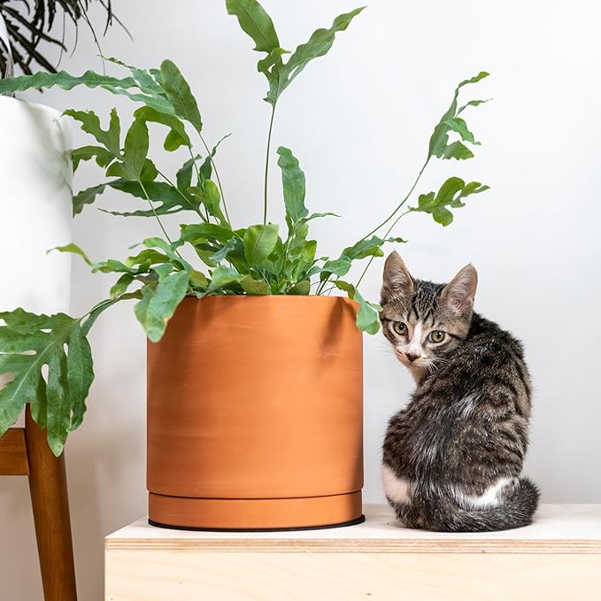 D'vine Dev Terracotta Pots for Plants, 6.5 Inch 8.3 Inch 10 Inch, Round Cylinder Planter Pot with Drainage and Saucer, 40-T-C-0