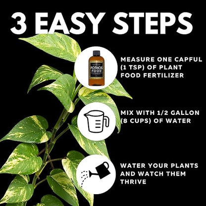 Lush Leaf | Plant Food (Pothos)