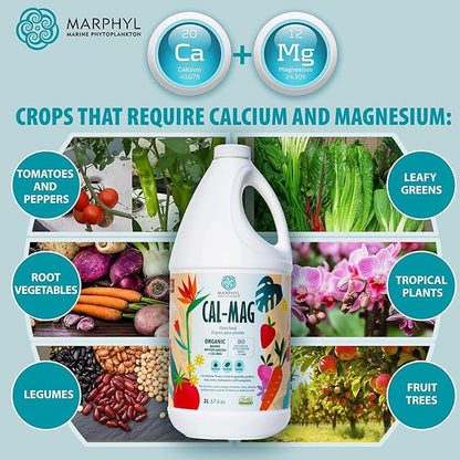 MARPHYL Organic CALMAG Liquid Fertilizer, Calcium + Magnesium, Corrects Common Plant Deficiencies, for Garden, Flowers, Vegetables, Succulents, Bamboo, Hydroponics 33.8 oz