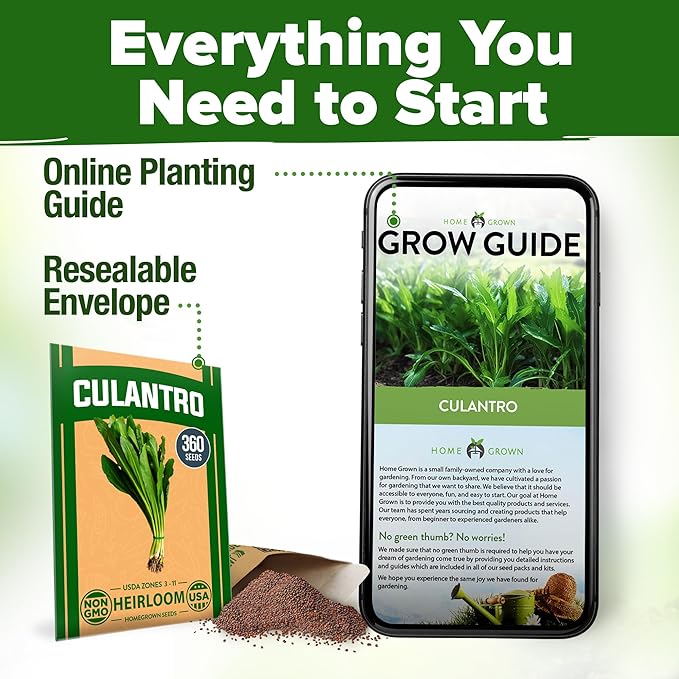 HOME GROWN 𝗨𝗦𝗔 𝗣𝗥𝗘𝗠𝗜𝗨𝗠 Culantro Seeds 360 Herb Seeds for Planting Non-GMO Heirloom Variety, Robust Flavor, Thrives in Heat, Grows Indoors or Outdoors, Cilantro Substitute (Eryngium Foetidum)