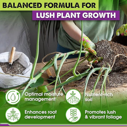 DUSPRO Recycle Pre-Mixed House Plant Soil Aroid Potting Mix 7-in-1 with Coco Coir, Peat Moss, Perlite, Worm Casting, Pumice, Pine Bark & Gypsum, Tropical Potting Mix for Indoor Plants, Herbs 8QRT