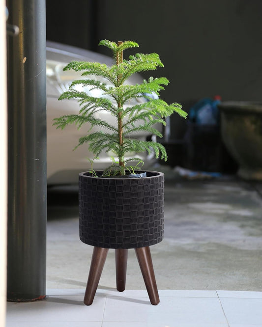 D'vine Dev 8 Inch Modern Geometric Tile Patterned Sleek Planter Pot with Stand, Indoor Outdoor Decorative Plant Holder, Distressed Black, 88-Z-A-5