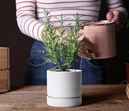 Phoenix Vine 6 Inch Planter Pot with Drainage Hole & Saucer, Deep Water Catch Tray, Straight Cylindrical Round Pot for Plants, Matte White, Pack of 2, 23-B-S-2