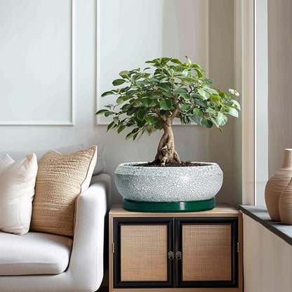 Bonsai Pots 13 Inch - Shallow Ceramic Planter with Drainage Hole and Saucer, Round Succulent Pots for Indoor Outdoor, Large Succulent Planter, Apartment Decor, Gardening Gifts, Green