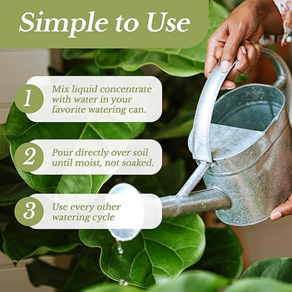 Leaves and Soul Professional Liquid Fiddle Leaf Fig Plant Fertilizer | 3-1-2 Concentrate for House Plants | 8 oz Bottle