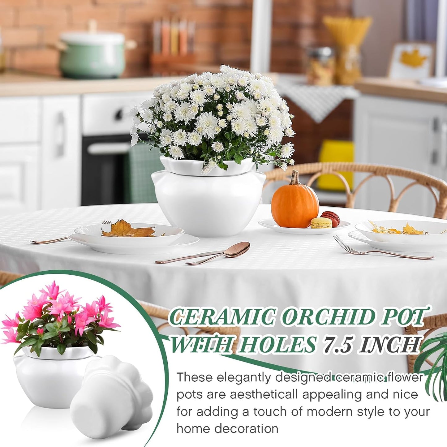 4 Set 6 Inches African Violet Pots Self Watering White Ceramic Pot for Indoor Plants, Flowerpot with Highly Absorbent Inner Pot for Busy Plant Lovers,Plant Care