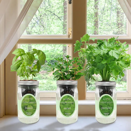 Hydroponic Herb Growing Kit Set, Self-Watering Mason Jar Herb Garden Starter Kit Indoor, Windowsill Herbs Garden, Grow Your Own Herbs from Organic Seeds (Basil, Mint, Parsley)