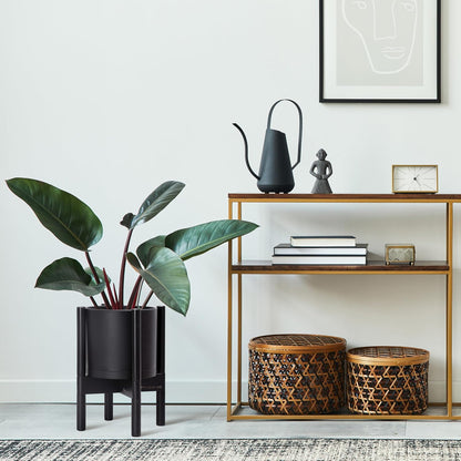 D'vine Dev Planter Pot with Stand - 8 Inch Plastic Cylinder Flower Pot with Wood Planter Holder for Indoor, Matte Black Pot + Ebony Stand, 55-C-K-2