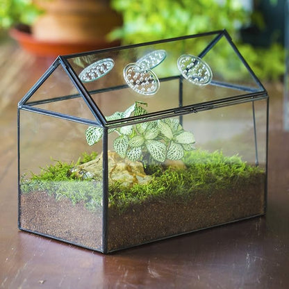 NCYP Glass Terrarium with Lid and Air Holes for Snails, Succulents Plants, Small Cactus - 10.2" x 5.9" x 8.2" House Shape Geometric Clear Box, Indoor Tabletop Decor Black (Terrarium Only)