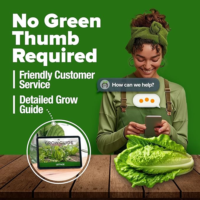 HOME GROWN 𝗨𝗦𝗔 𝗣𝗥𝗘𝗠𝗜𝗨𝗠 Parris Island Romaine Lettuce 3,500+ High Germination Heirloom 𝗡𝗢𝗡-𝗚𝗠𝗢 Lettuce for Planting Crisp Heads for Garden & Hydroponics, Indoor Outdoor (Lactuca Sativa)