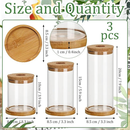 Maxcheck 3 Pcs 3 Sizes Plant Propagation Station Separated Glass Plant Terrarium Water Hydroponic Planter Holder with Lid and Wooden Stand Propagation Vase Pot for Home Indoor Office(Various Sizes)