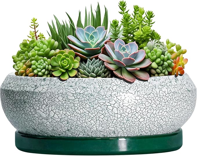 Succulent Planters 10 Inch - Ceramic Bonsai Pots with Drainage Hole and Saucer, Large Succulent Pots Indoor, Shallow Planter, Round Bowl Planter Outdoor, Patio Decor, Plant Lover Gift, Green