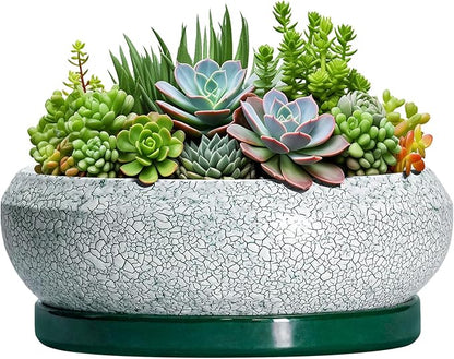 Succulent Planters 10 Inch - Ceramic Bonsai Pots with Drainage Hole and Saucer, Large Succulent Pots Indoor, Shallow Planter, Round Bowl Planter Outdoor, Patio Decor, Plant Lover Gift, Green