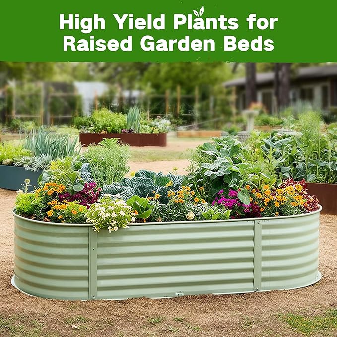 Lush&Dew Raised Garden Bed Heirloom Seed Bank, 32 Varieties 30,000+ Non-GMO Survival Seeds for Planting Vegetables Herbs Fruits, Gardening Gifts for Women Men, Seed Vault Kit, Emergency Food Supplies