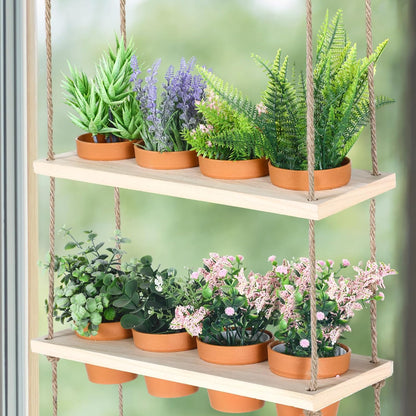 4 Tiered Window Plant Shelves Hanging Herb Planter Indoor Display with 16 Pcs Flower Pots Wood Window Plant Hanger for Grow Herbs Succulents Microgreens Seedling Organization