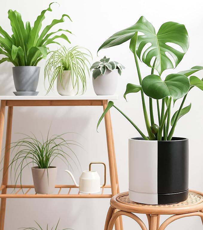 D'vine Dev 10 Inch Ceramic Planter Pot with Drainage Hole and Saucer, Indoor Cylinder Round Planter Pot, Split Monochrome Black & White, 94-O-E-0