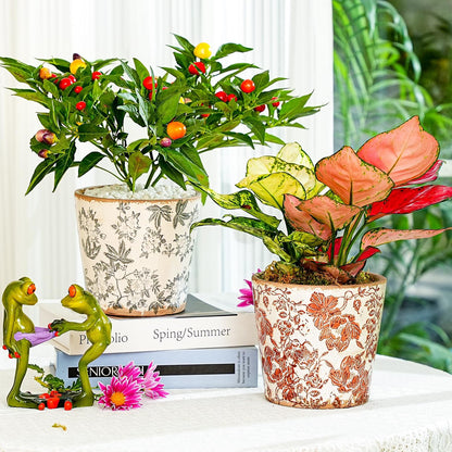 Sungmor Vintage Ceramic Plant Pots, Set of 3 Pretty Ice Cracked Glaze Ceramic Flower Pots, 5.5in. Herb Planters with Drainage Hole, Tuscan Planters for Indoor Outdoor Plants, Home Garden Decor Pot