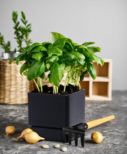 4 Inch Herb Planter Pot, Plastic Planter with Drainage Holes and Saucer, Modern Decorative Gardening Pot for Indoor Plants, Flowers, Herbs, Succulents, Black, Set of 1, 76-Y-B-1