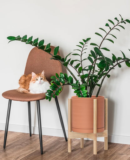 D'vine Dev Terracotta Planter with Natural Stand - 10 Inch Modern Round Flower Pot with Wood Planter Holder, Terracotta, 55-B-K-5