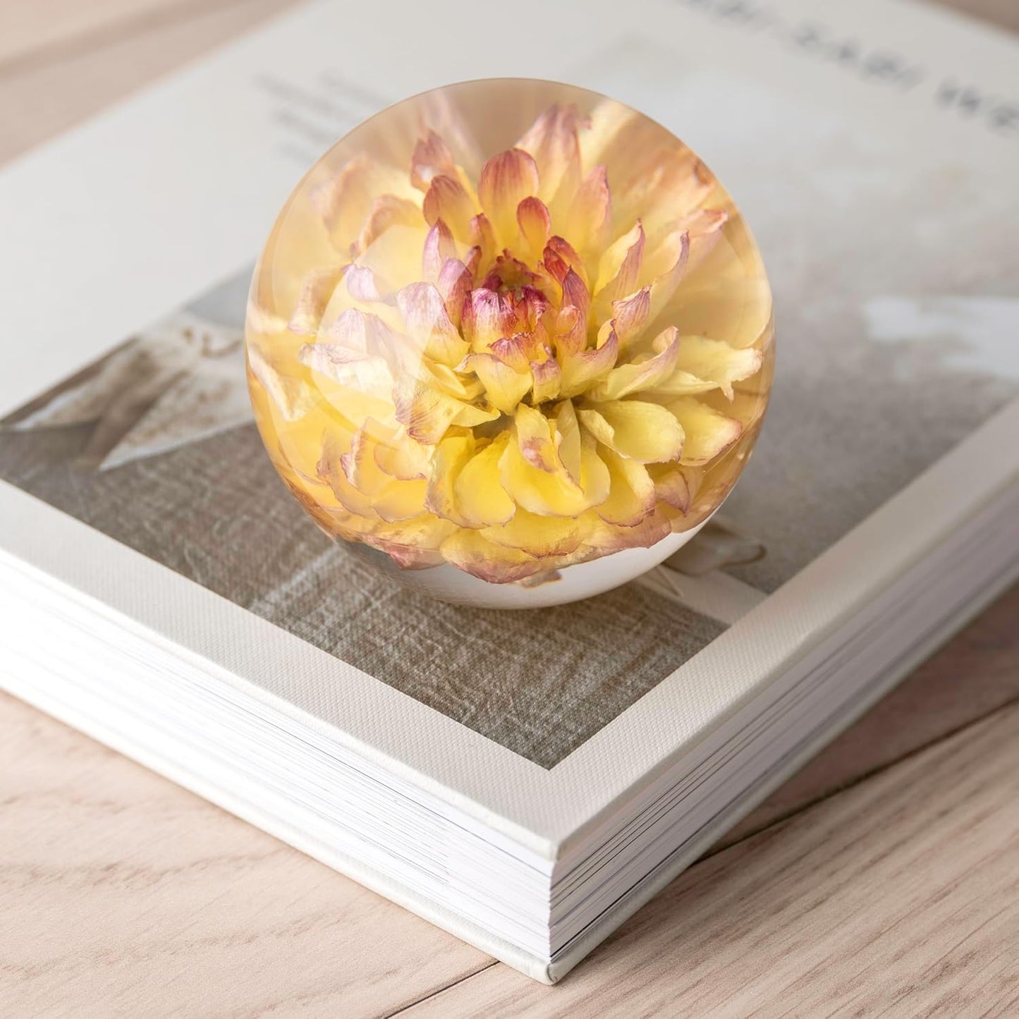 Real Yellow Dahlia Paperweight - Home Decor Crystal Resin Ball 3.14in (80mm) - Clear Resin Yellow Dahlia Flower Globe for Special Days - Sphere Figurine Office Paperweight w/Flat Bottom