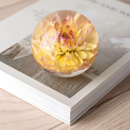 Real Yellow Dahlia Paperweight - Home Decor Crystal Resin Ball 3.14in (80mm) - Clear Resin Yellow Dahlia Flower Globe for Special Days - Sphere Figurine Office Paperweight w/Flat Bottom