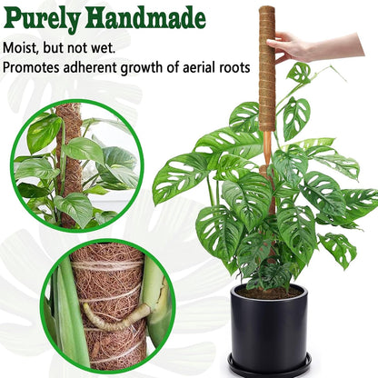 4 Pack 22 Inch Moss Poles, Stackable Moss Pole for Plants Monstera, 70 Inch Tall Moss Poles for Climbing Plants Indoor, Coir Totem Plant Support Stakes Stand for Potted Plants, Pothos