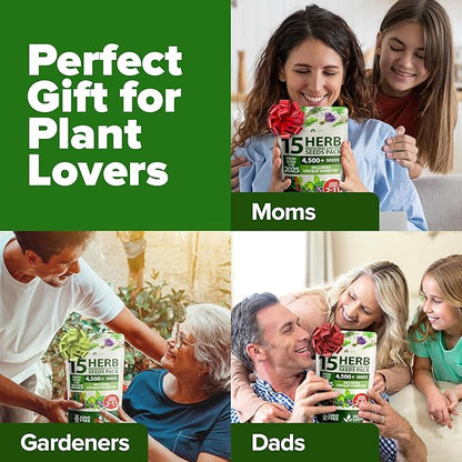 HOME GROWN 15 Herb Seeds for Planting 4,500+ Non-GMO Heirloom Seeds | Extra Large Variety Pack Herb Kit – Indoor Outdoor & Hydroponic | Culinary Seed Set | Grow Your Own Herbs | Gardening Gift