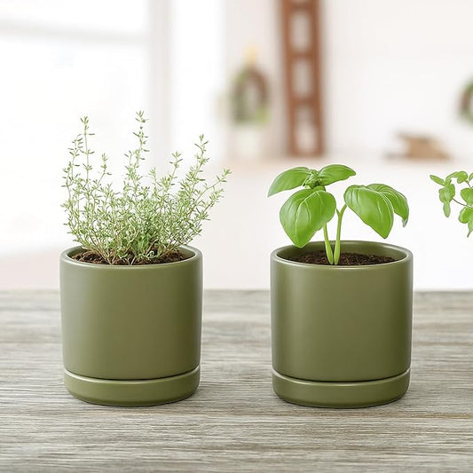 D'vine Dev Set of 2 Plants Pots, 3.5 Inch Ceramic Planter Pot for Plants with Drainage Hole and Saucer, Olive, 94-V-A-J