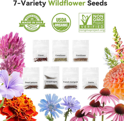 inbloom 12-Pod Flower Seed Pod Kit for AeroGarden, iDOO, Ahopegarden, MUFGA Hydroponic Growing System, Included French Marigold, Snapdragon, Dwarf Petunia, Coneflower, Dahlia, Cornflower, 400+ Seeds