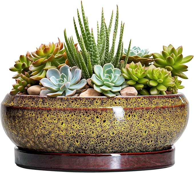 Succulent Planters 8 Inch - Ceramic Bonsai Pots with Drainage Hole and Tray, Shallow Plant Pot Indoor Outdoor, Round Succulent Pots, Planter Bowl, Porch Decor, Housewarming Gifts, Yellow