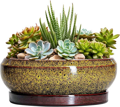 Succulent Planters 8 Inch - Ceramic Bonsai Pots with Drainage Hole and Tray, Shallow Plant Pot Indoor Outdoor, Round Succulent Pots, Planter Bowl, Porch Decor, Housewarming Gifts, Yellow