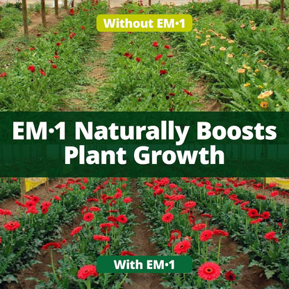 TeraGanix EM-1 Soil Conditioner (1 Btl = 16 Gal), Microbial Inoculant Concentrate, Plant Growth, Root Enhancer, Liquid Probiotic for Soils & Plants, Seed Germination, Garden, Lawn Care (16 fl oz)