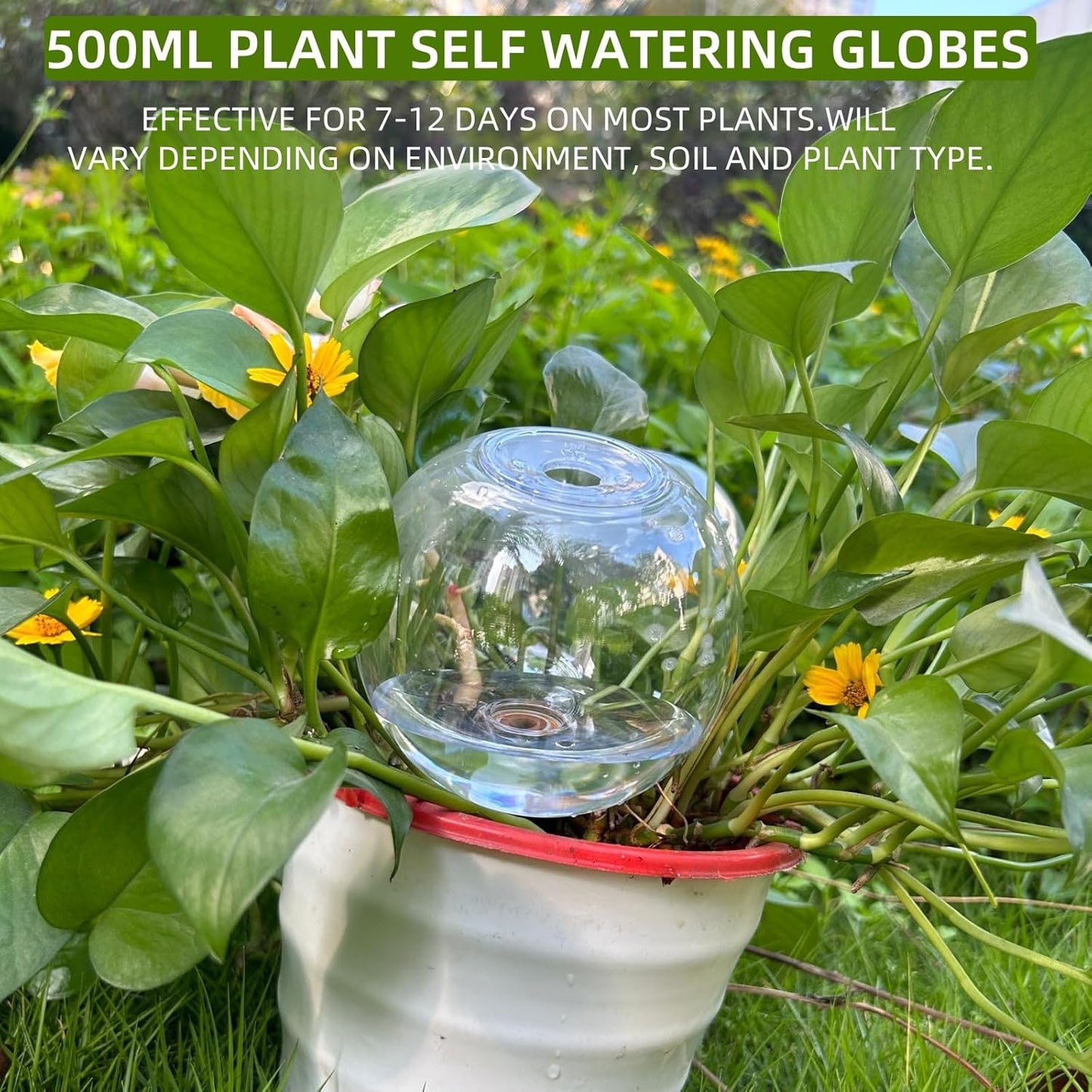2 Pack Self Watering Globes for Indoor & Outdoor Plants – 17oz Automatic Watering Bulbs for Houseplants –Slow Release Control Water Dripper for Plants – Plant Watering Devices While Away