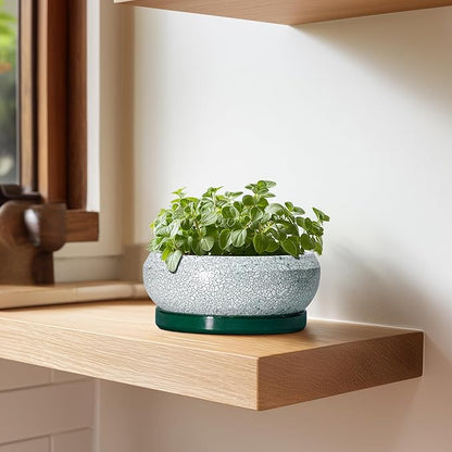 Succulent Pots - 6 Inch Ceramic Pots for Succulent Indoor Outdoor, Small Plant Pot with Drainage Hole and Saucer, Bonsai Pot, Modern Round Planter, Window Decor, Housewarming Gifts, Green