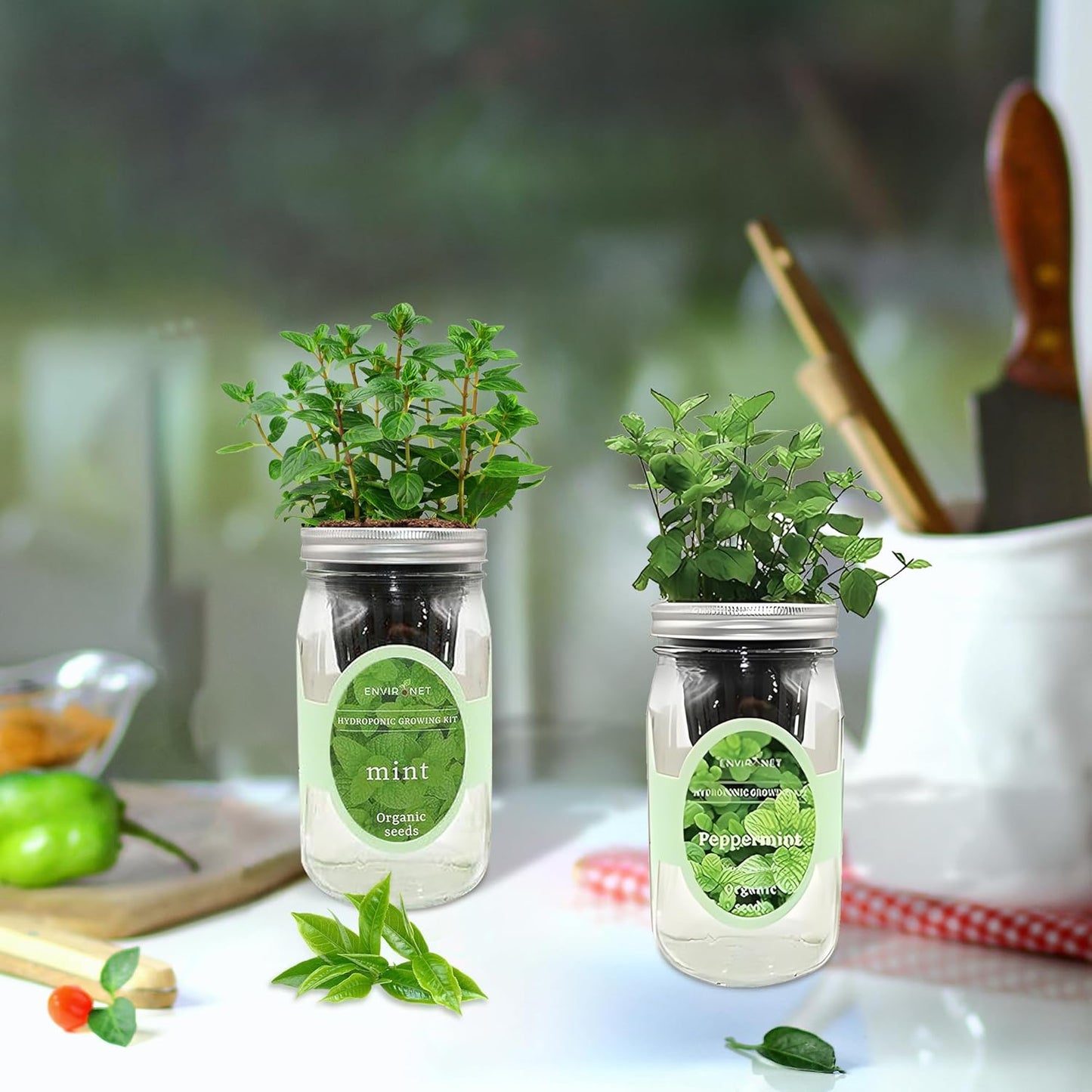 2-Pack Hydroponic Mason Jar Herb Garden Kit, Indoor Herb Garden Self-Watering Starter Kit (Mint,Peppermint)