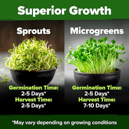 HOME GROWN Alfalfa Sprouting Seeds - Non-GMO USA-Sourced Heirloom Bulk Sprout Seed for Microgreens - Premium Organic Alfalfa Seeds for Sprouting - Indoor Growing Kit - 8 OZ